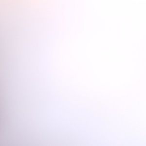 Meet your Posher, Verónica